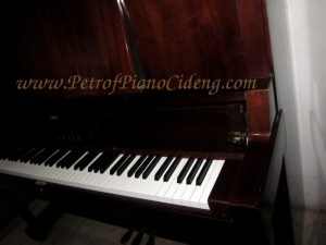 Piano Yamaha W